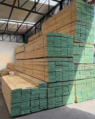 tabua pinus
